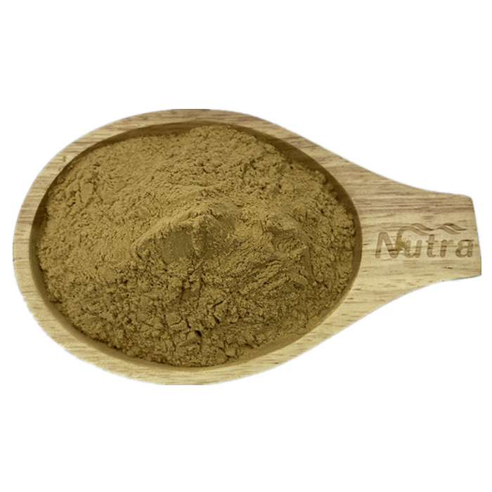 Hot sell Organic Green Tea Extract Polyphenol 90% 98% L-Theanine 20% 50% EGCG 50% 99%