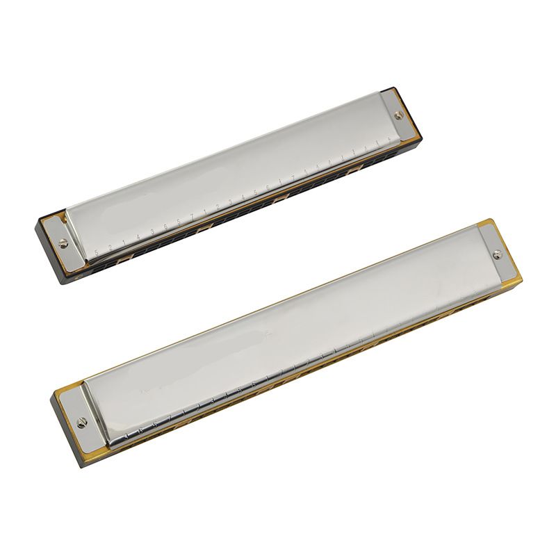 Harmonica Beginner 24-Hole C Key Polyphonic Entry Student Children Adult Self-Taught Performance Musical Instrument