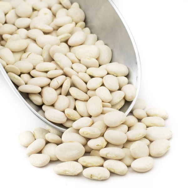 Very cheap Organic Large Butter Beans / Large White Kidney Beans/Butter Beans for sale