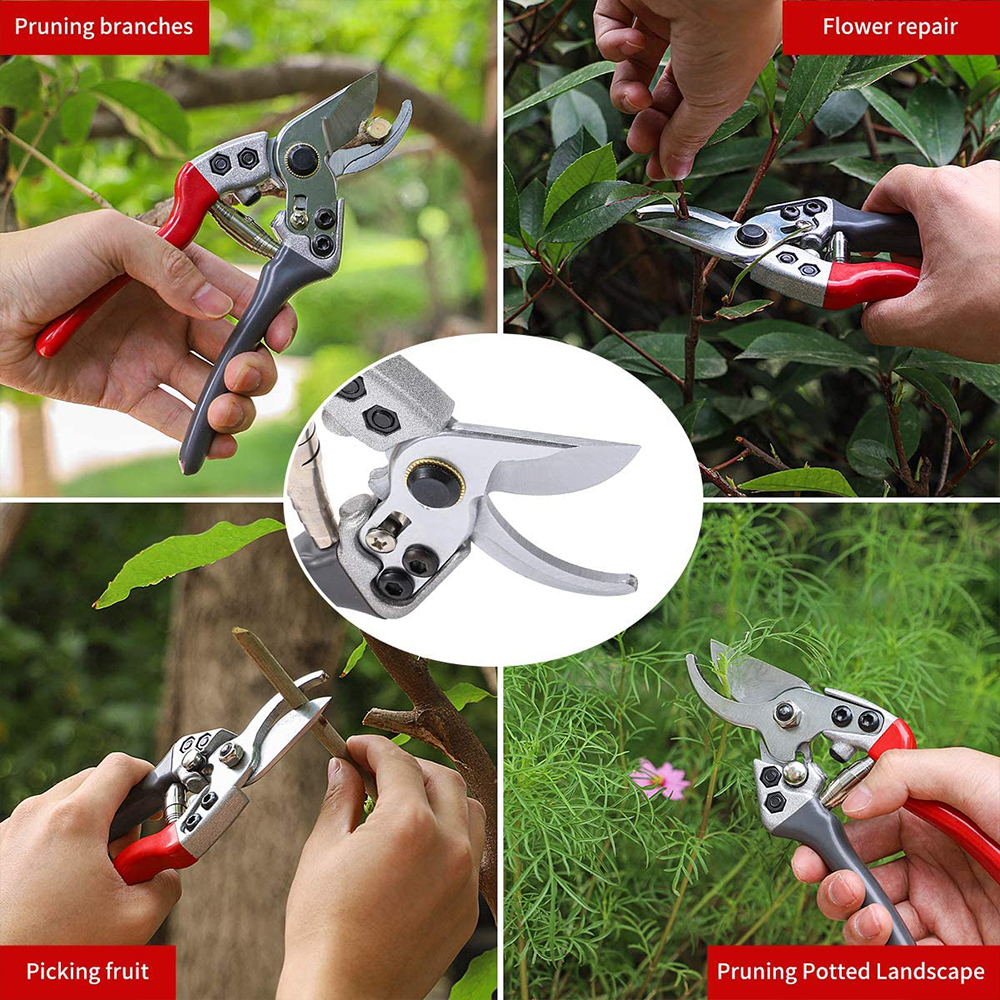 Hot Sale China Stainless Steel Hand Tool Home Garden Secateurs Plant Pruning Shears Pruners
