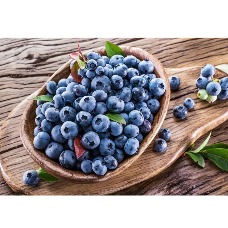 Fresh Fruit Wholesale High Nutritious Blueberry from Colombian