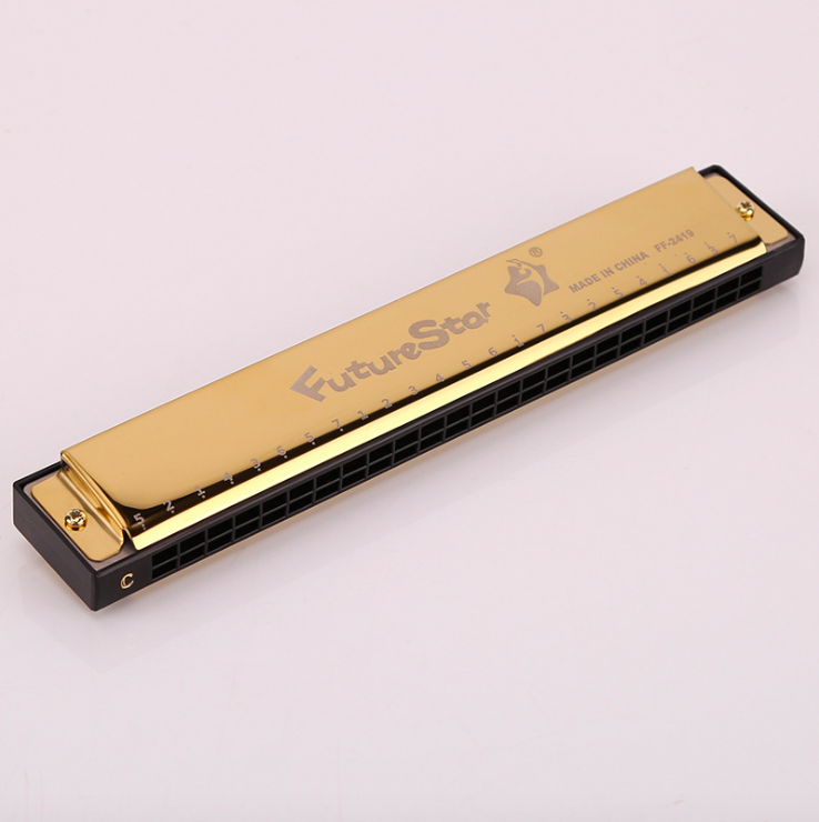 24 Holes Harmonica Professional, Harmonica Chromatic,Harmonica For Sale