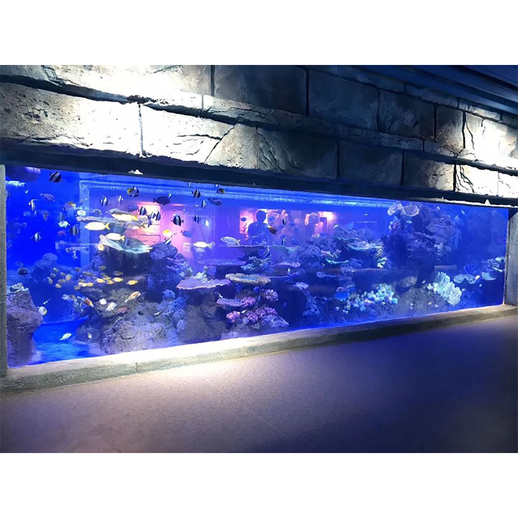Aquarium Large Fish Tank With High Transmission And High Quality, Customized Clear Large Size Aquarium Fish Tank