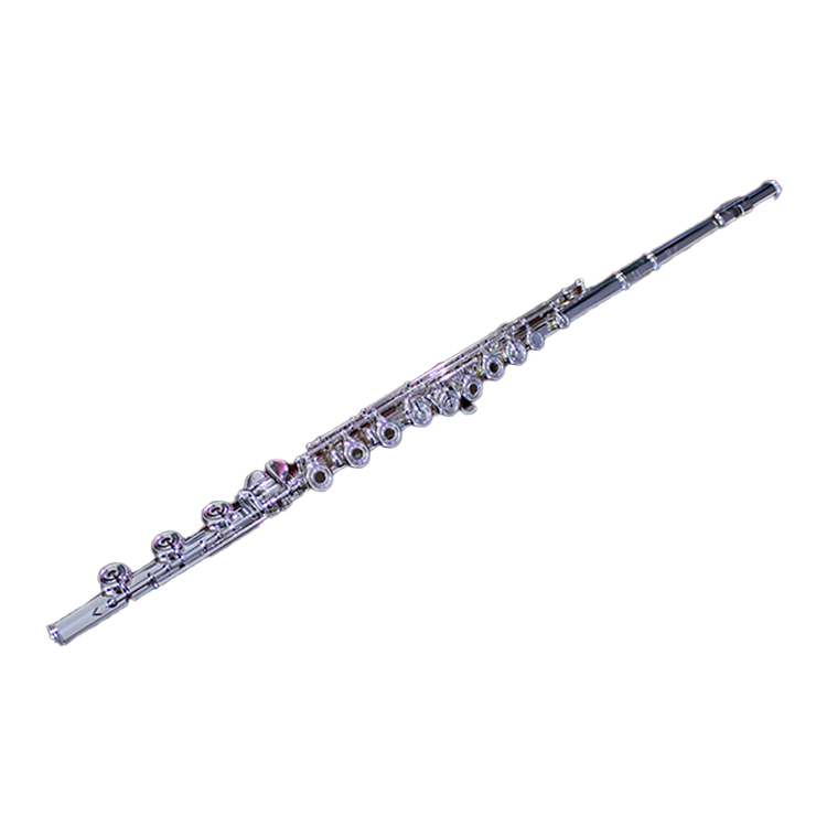 Nice Price High Performance Silver Plated Key Detachable Open Hole Flutes Music