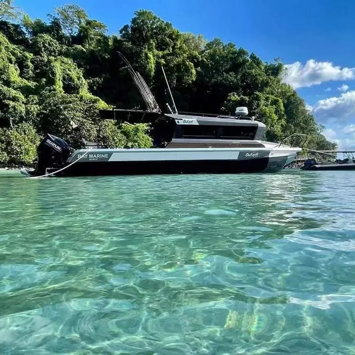 Poseidon 30ft 9m Welded Aluminum Foam Filled Pontoon Fishing Boat Cabin Cruiser For Sale