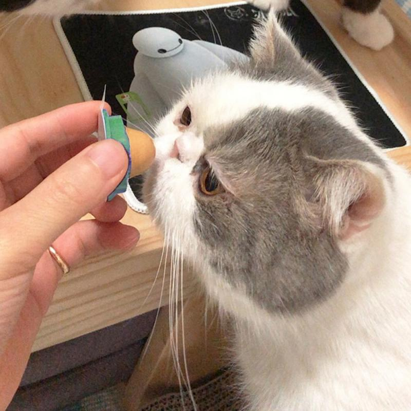 Кошачья закуска, кошачья мята, здоровые конфеты, кошка, закуски, кошачья мята, сахар, конфеты, лижущий энергичный шар, игрушка для домашних животных, кошачья конфета, игрушка