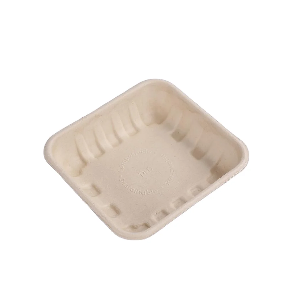 Factory Compostable Biodegradable Disposable Bagasse Paper Meat Tray Dish