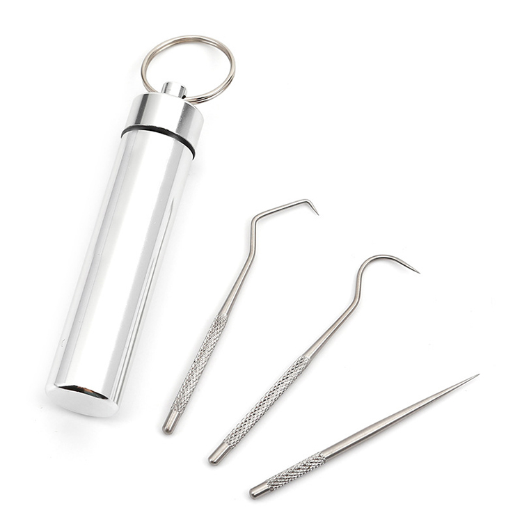 Stainless steel metal toothpick mini oral care tools Portable mouth cleaner