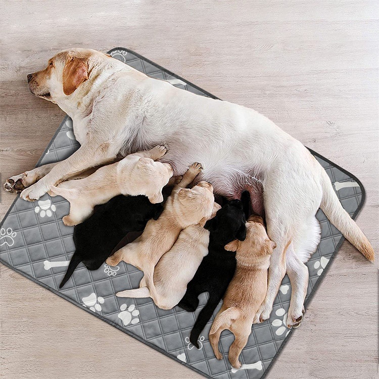 Large Size 4 layer Super Absorbent Waterproof Non Slip Reusable Washable Training Dog Pet Pee Pads