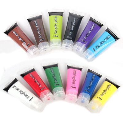 75ml Acrylic Pigment Hose Pigment DIY Hand Painted Art Pigment 12 Colors