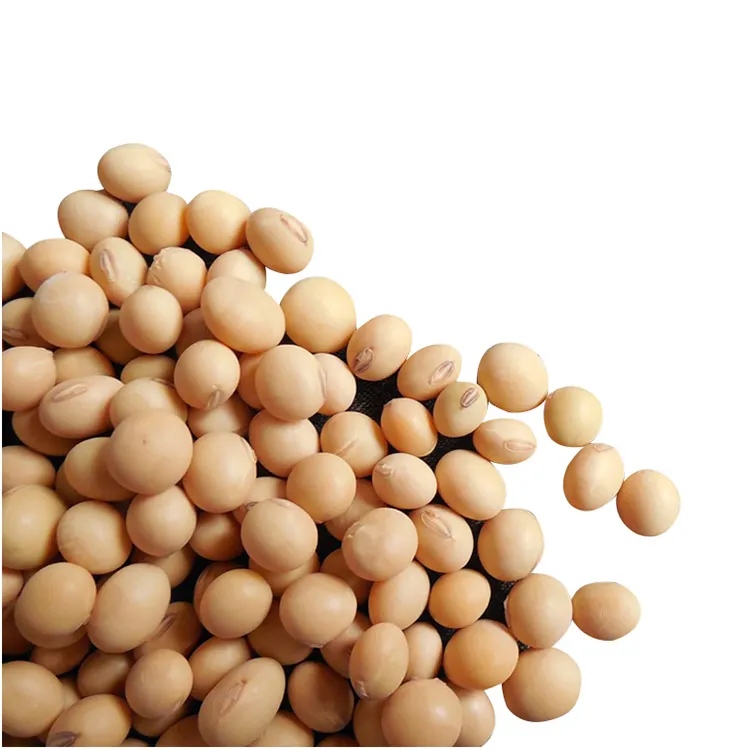 Organic Yellow Soybean from Agriculture Products Soy Beans