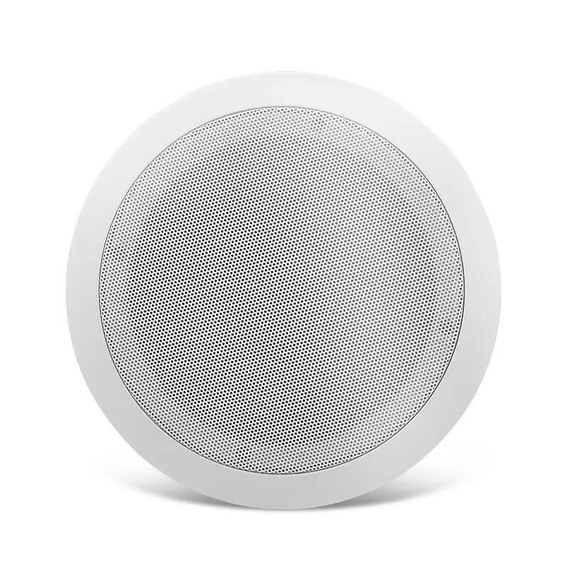 Network SIP Speaker IP Speaker Ceiling speakers for Paging