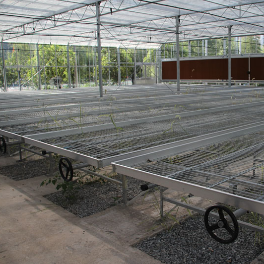 Agricultural Equipment Multi Span Greenhouse Wire Mesh Rolling Bench Systems for Seedling Nursery