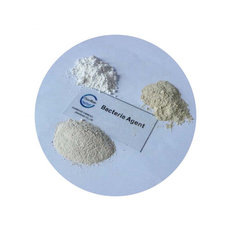 Municipal sewage treatment Special Cod Degradation Bacteria