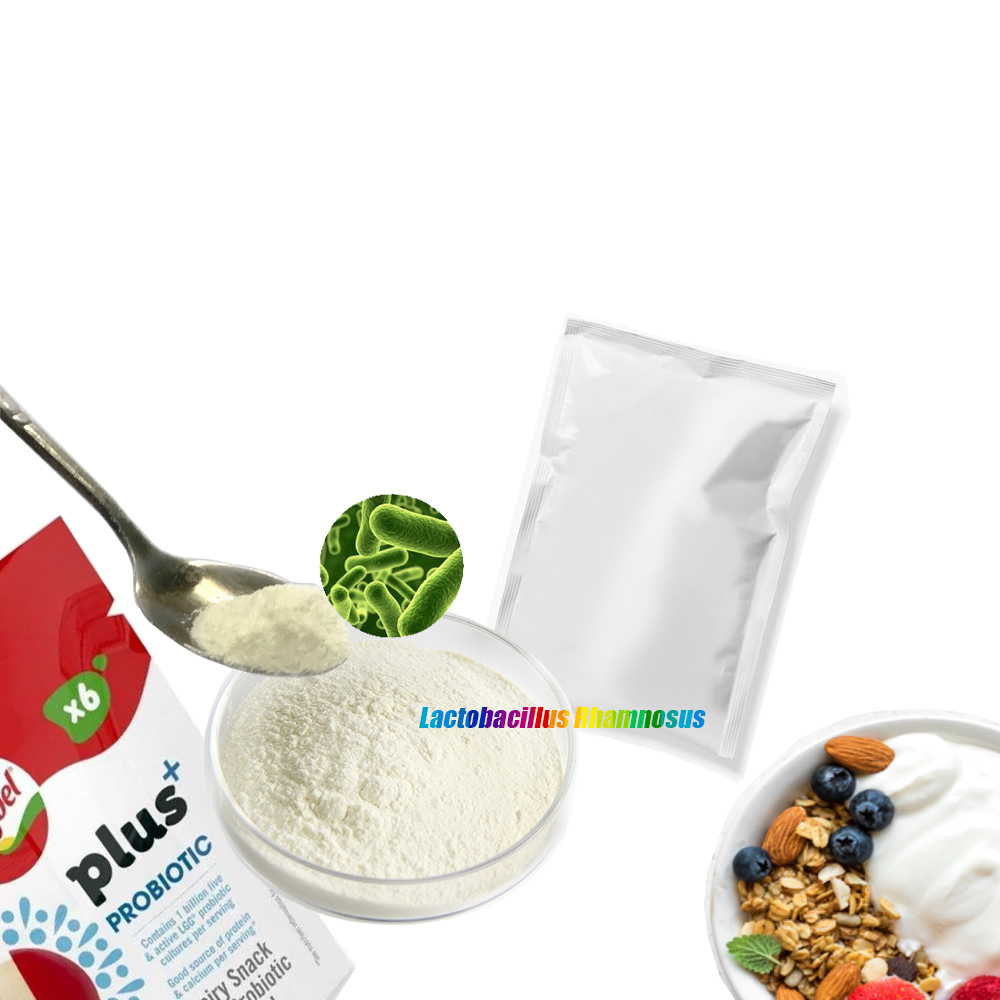 High grade Freeze dried probiotics powder of Lactobacillus rhamnosus for fermented foods and probiotic-fortified foods
