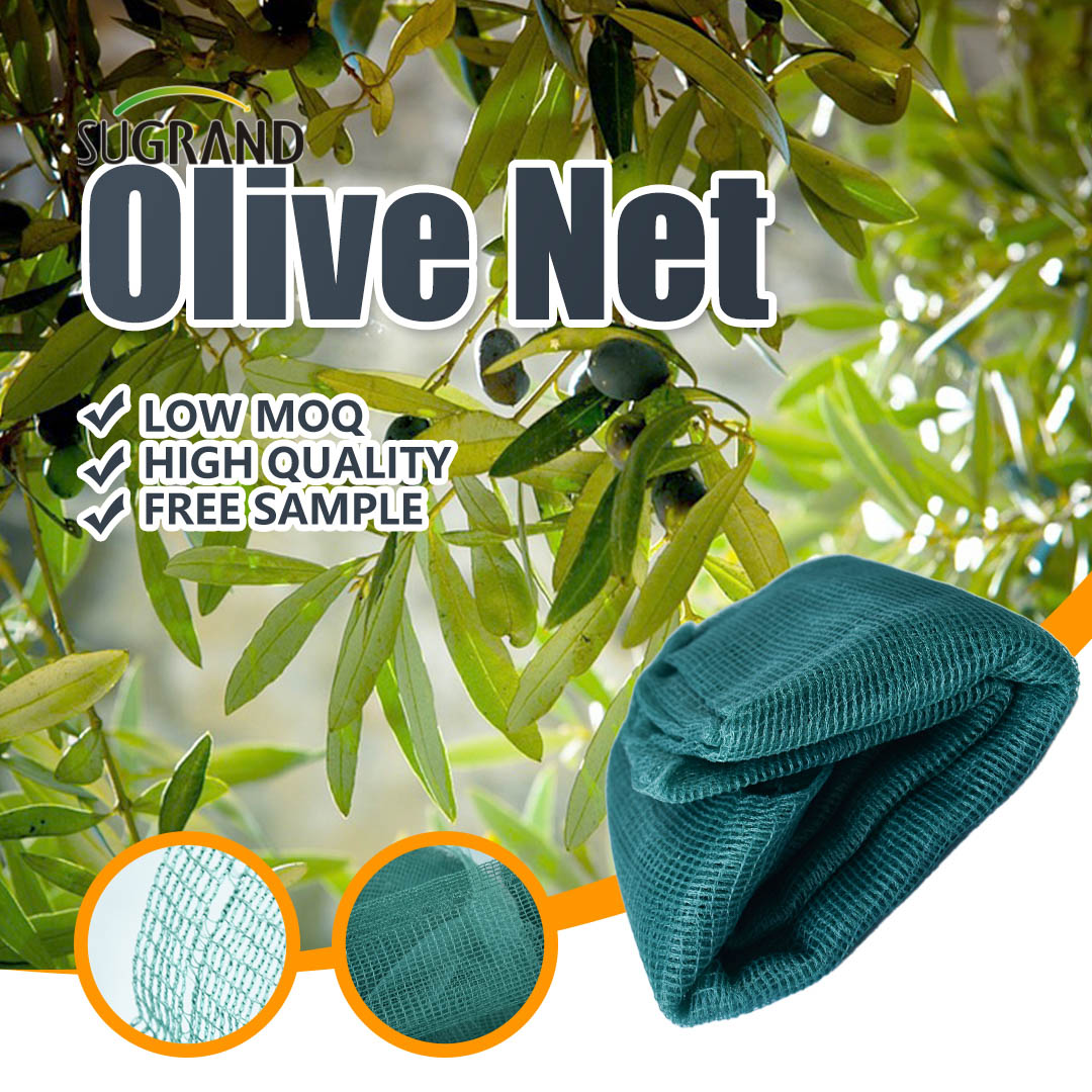 Hdpe Plastic Mesh Olive Net Uv Treated Olive Harves olive tree netting