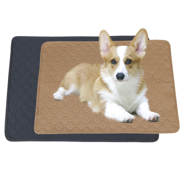 Divtop 2021 Simple Style Cotton Filed Anti-Leakage Toilet Nylon Potty Urine Reusable Washable Puppy Training Dog Pee Pad.