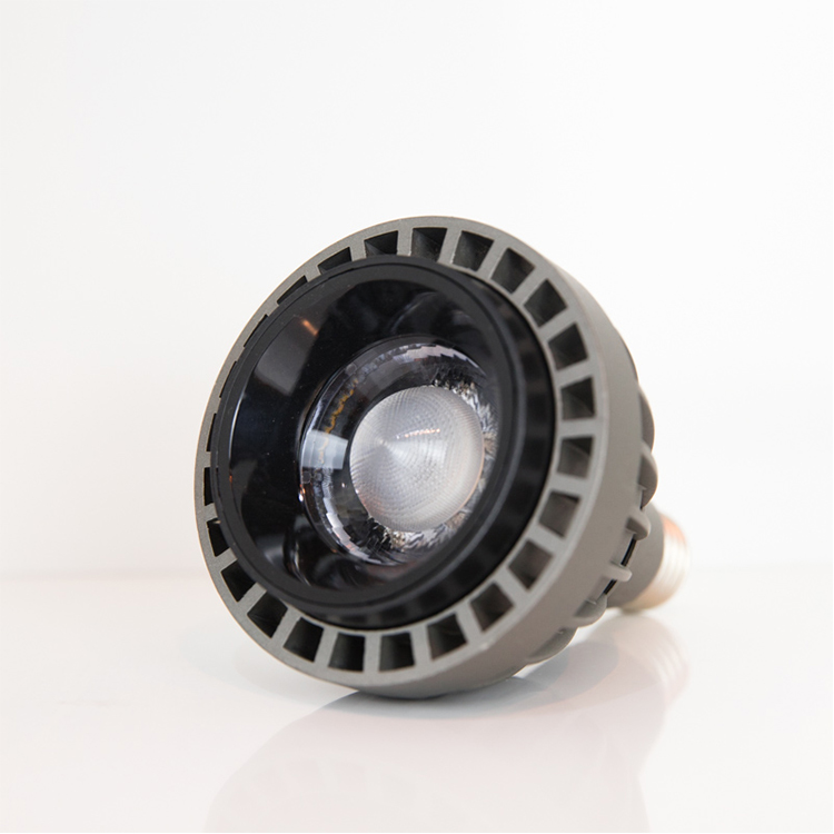 Светодиодные лампы E27/E26 Base LED Par30 Lamp