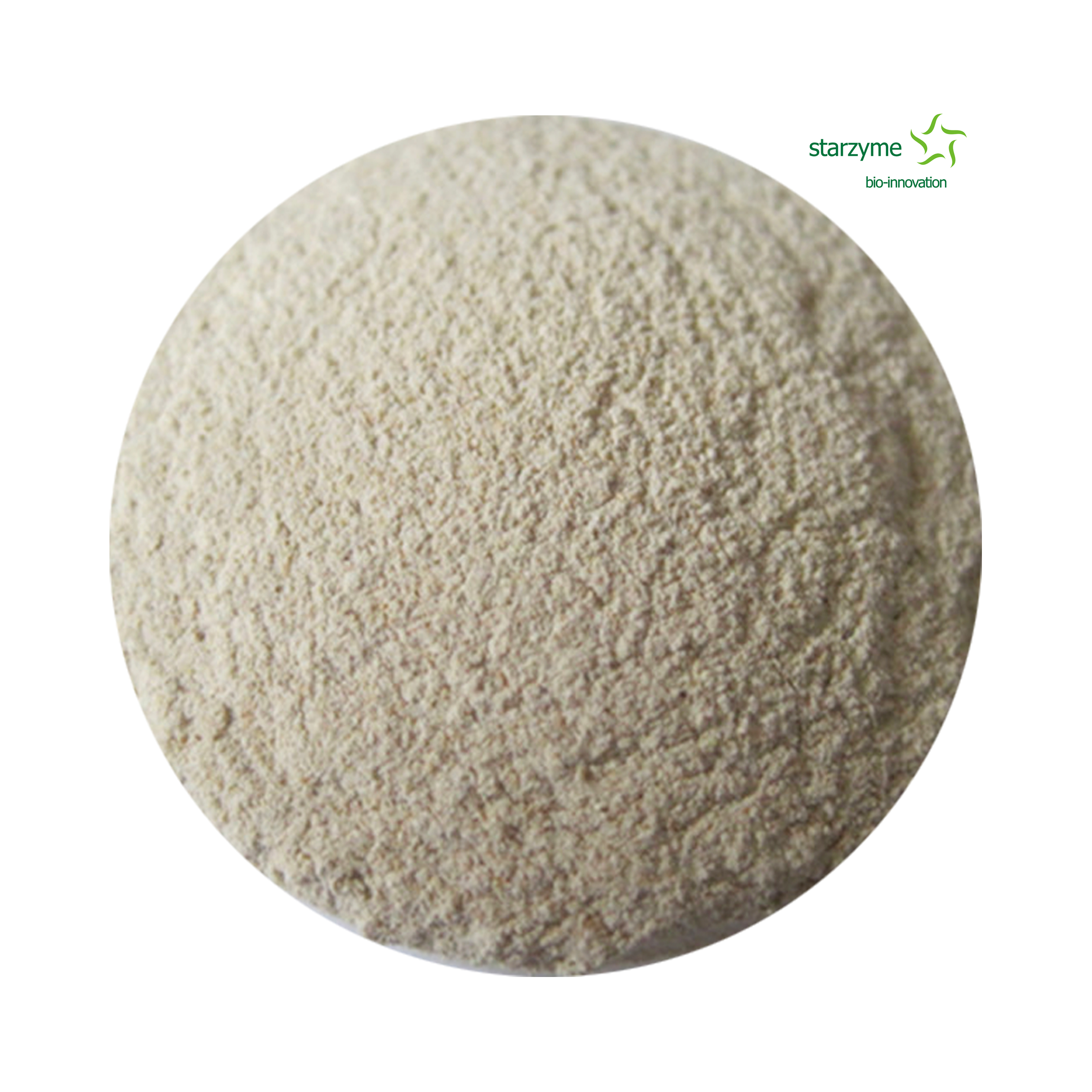 Feed Grade Xylanase Enzyme Powder Feed Additive Feed Grade Enzyme