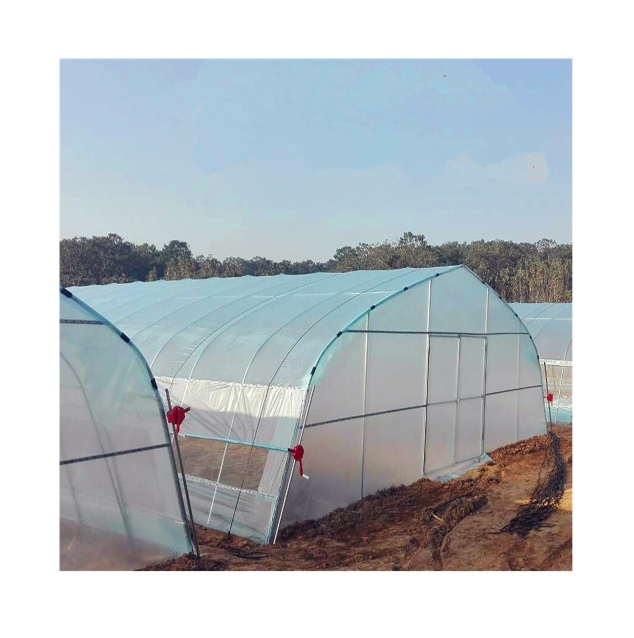 Hot Dipped Galvanized Blackout Greenhouse Large 12 Meters Multi-span Plastic Greenhouse For Flowers Vegetables Hobby Greenhouse