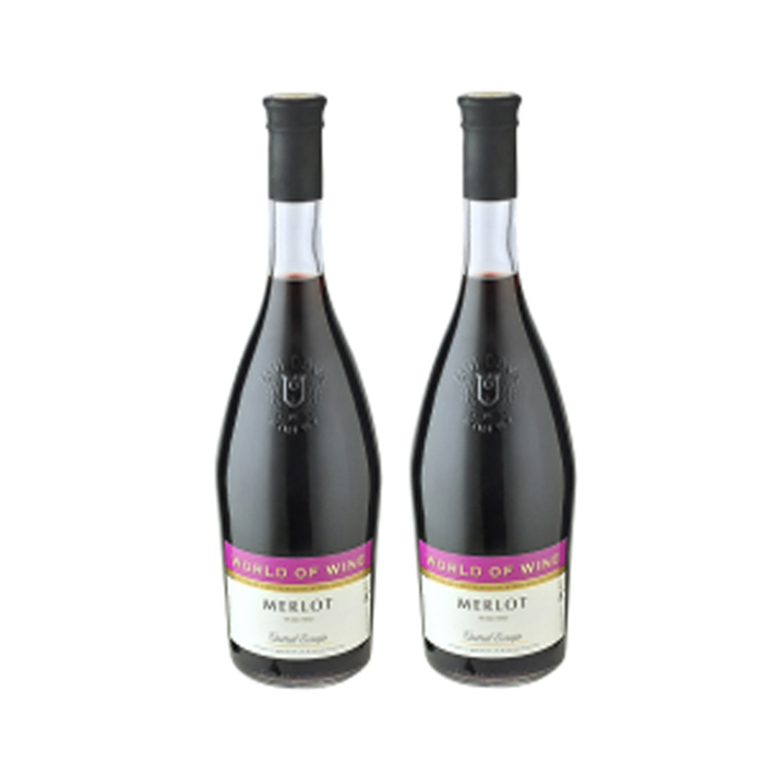 Сухое красное вино World of Wine Merlot, насыщенный бархатный винный рубиновый цвет и нежные фруктовые ароматы для вечеринки