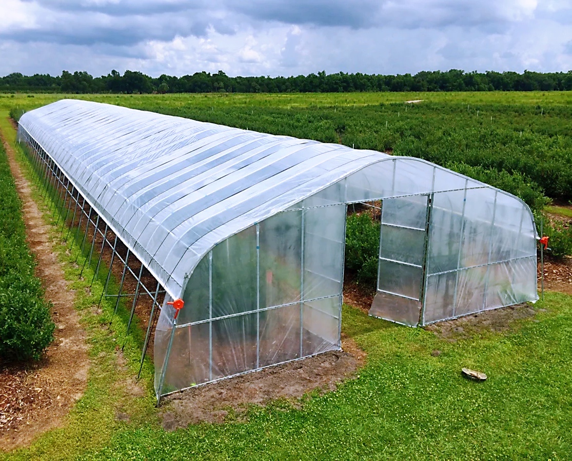 Hangmei low costs single-span poly tunnel agriculture green house