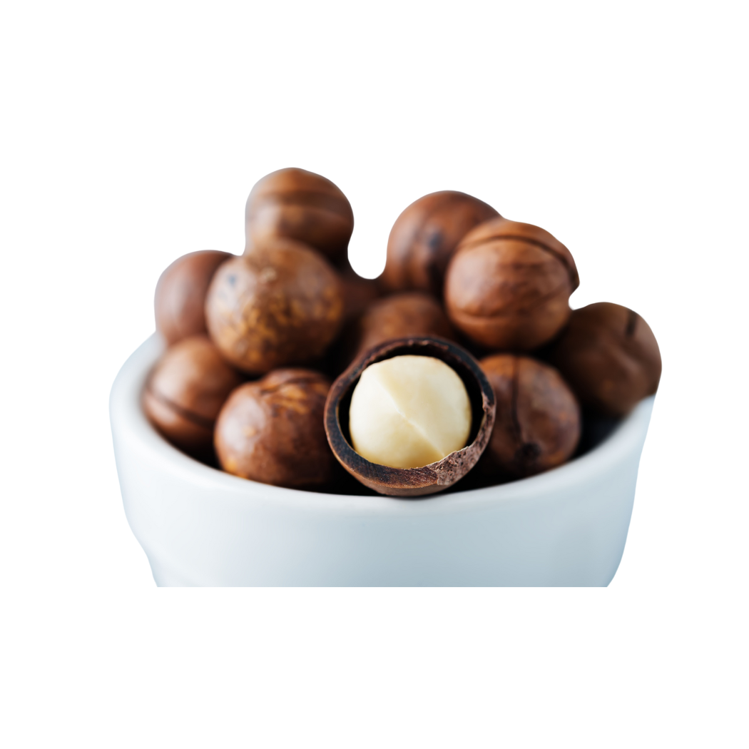 New Crop Organic Raw Macadamia Nuts Healthy Green Nuts Butter-like Flavor Effective Reducing Risk Factors Dried Style Food Use