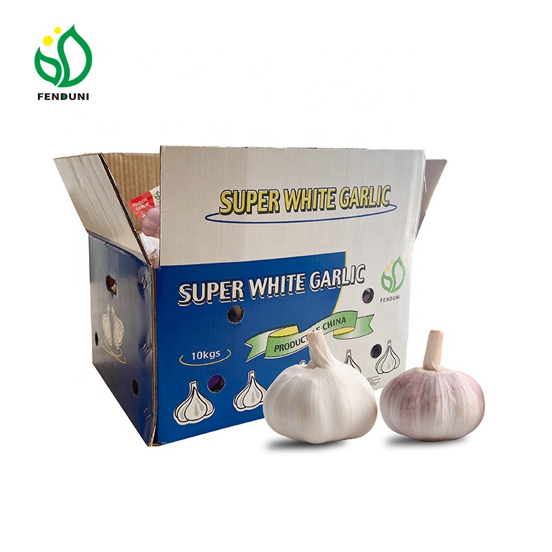 Need 5 Tons/10 tons New Crop Fresh Garlic from China 2023 New Crop Fenduni Foodstuff