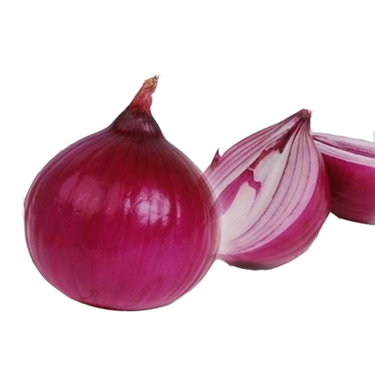 Short Day Early F1 Chinese vegetable hybrid red onion seeds