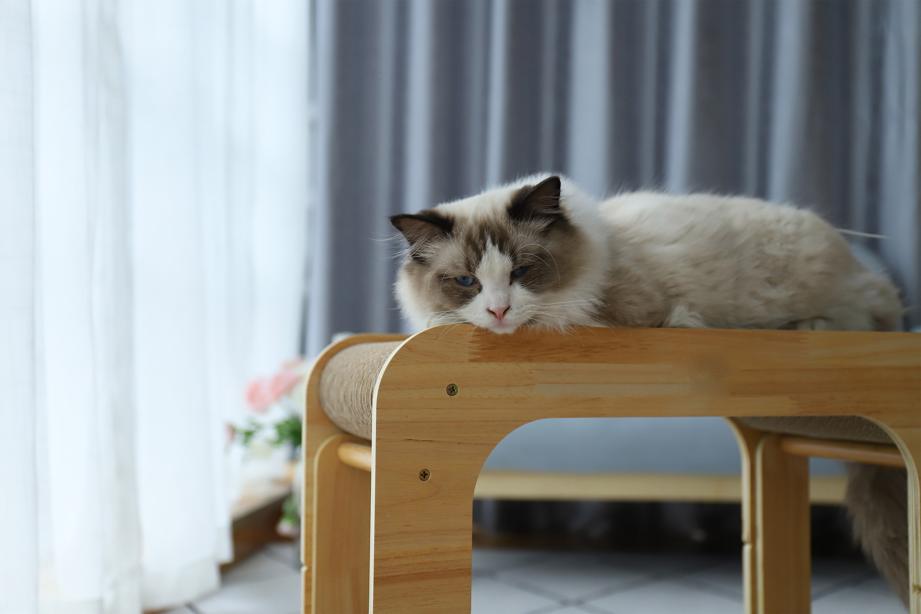 best sale cat scratcher bed Multiple sizes Eco-Friendly Wholesale cat condo scratcher