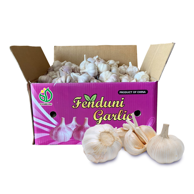 Fresh Vegetables and Fruits Exporter Sell Fresh Garlic in Qingdao Port