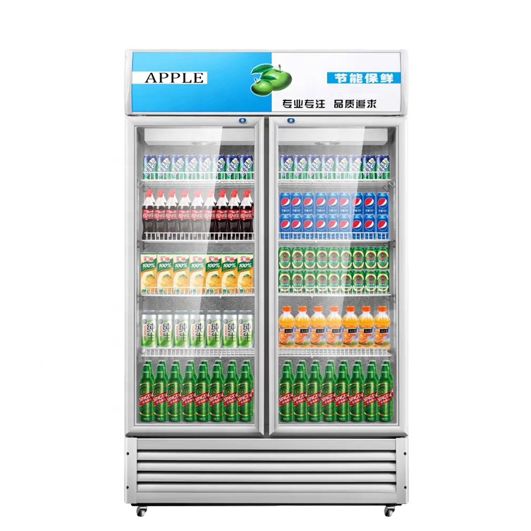 Smart 2 Glass Doors Fridge Supermarket Refrigerator Refrigeration Equipment