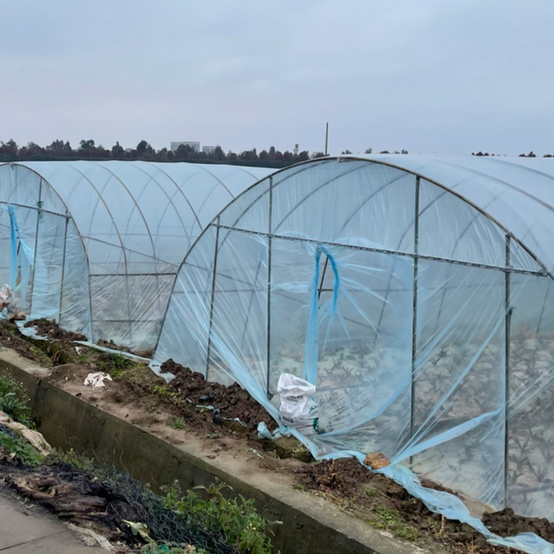 180 Micron Uv Resistance Cheap Transparent Pe Plastic Greenhouse Cover Material Agricultural High Tunnel Film