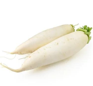 Cheap price wholesale chinese fresh white radish wholesale