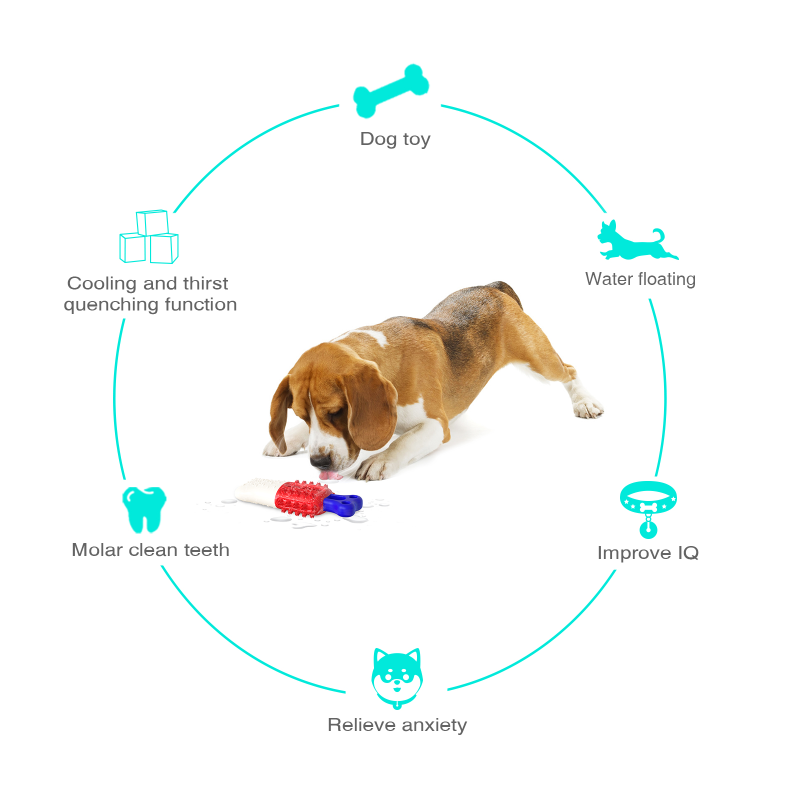 Chew Dog Toys