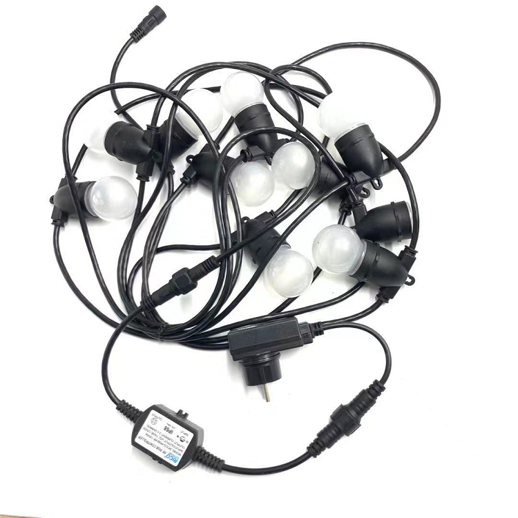 IP65 Smart string light With G50 RGB Plastic led Bulb remote control 12PCS led bulbs
