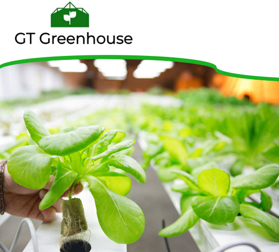 Теплица системы Aquaponic для продажи