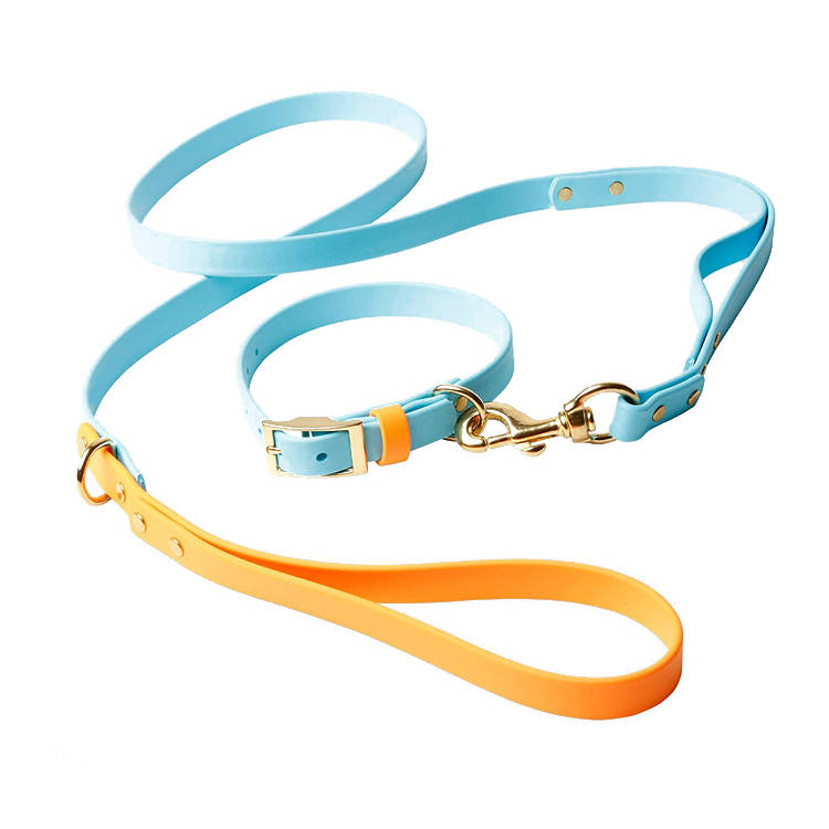 Waterproof PVC Dog Collar Leash Set Reflective Dog Collar for Outdoor