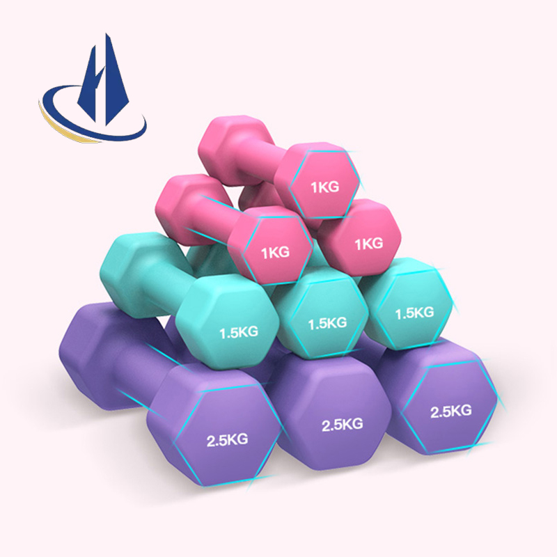 Factory Price Home used Portable Cheap Plastic Neoprene vinyl Rubber + cast iron Dumbbell for women