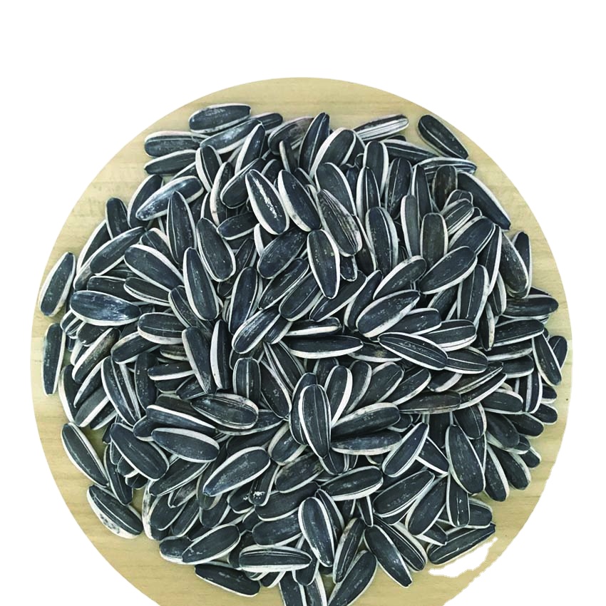 2020 inner mongolia High quality sunflower seed for sale