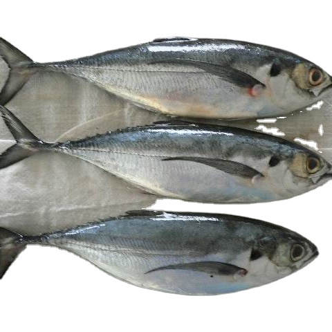 Фуцзянь минвелл Wumart высокое качество морепродукты свежие замороженные skipjack