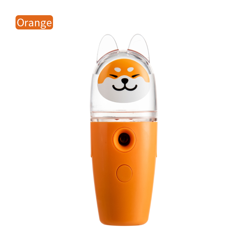 2021 New Hot Sell Portable Mini Usb Charging Nano Water Replenishment Instrument Nano Spray Facial Steamer