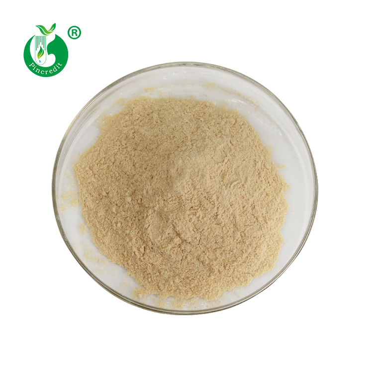 High Quality Animal Feed Additives Single Cell Yeast Protein Powder