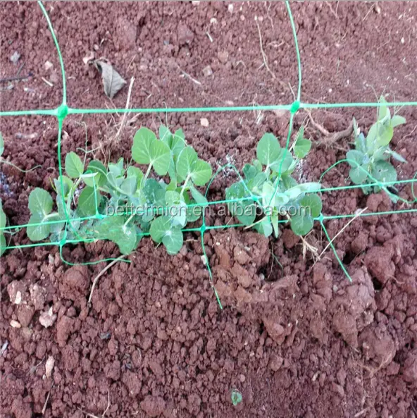 High Quality Agricultural Farming crop support net for vegetable