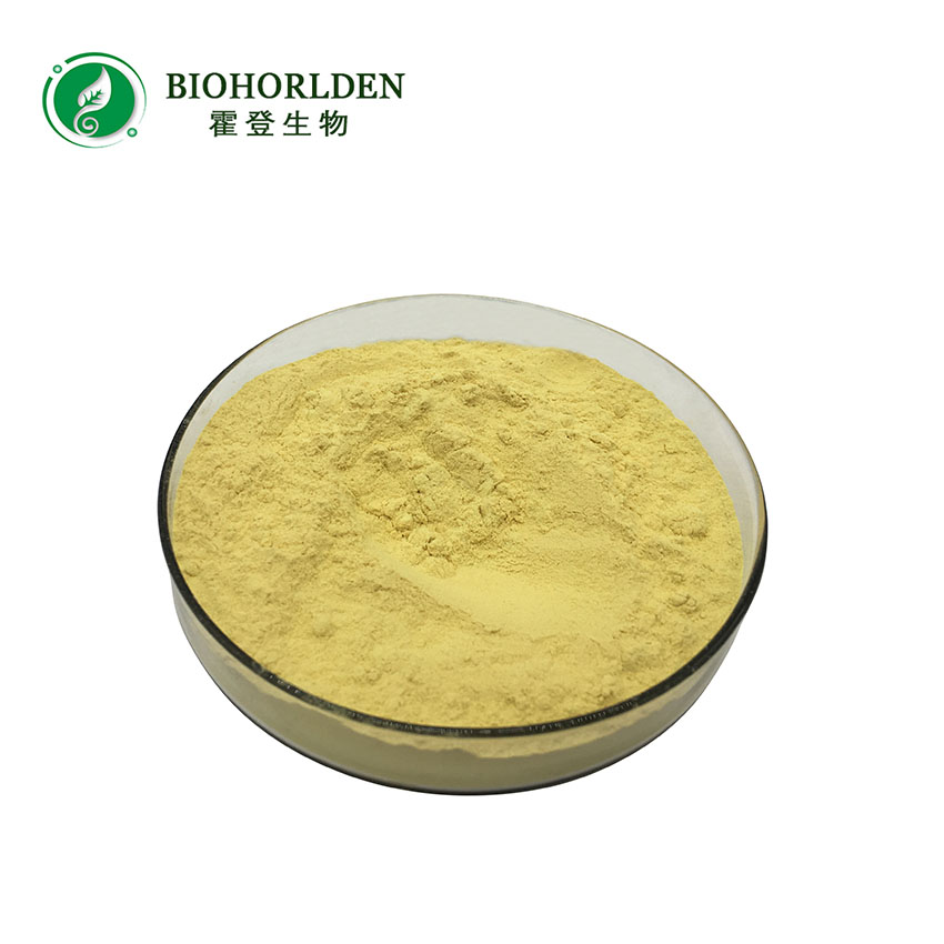 Best precio kaempferia galanga extract kaempferol powder 520-18-3 98% kaempferol