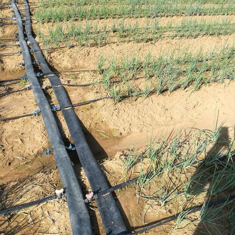 Pandora China OEM Best Sell Plastic 16mm Farm Drip Irrigation Pipe Hose With Flat Emitter