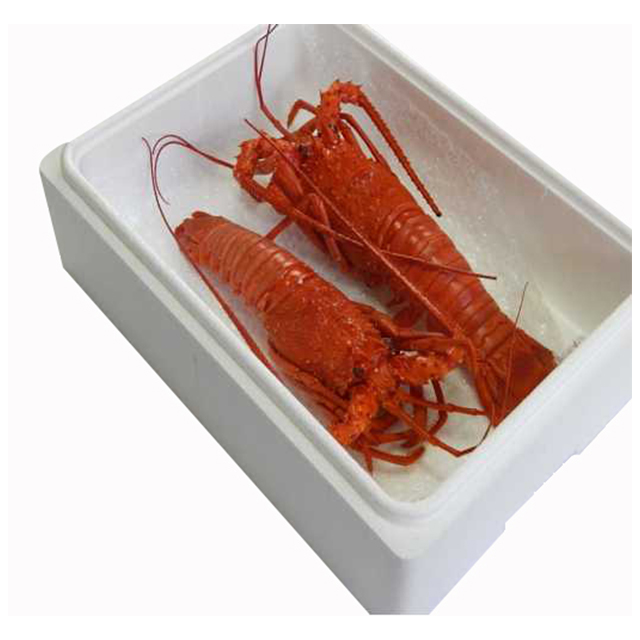 Japan mie prefecture hama steamed spiny lobster frozen seafood products