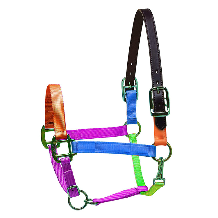 Оптовая продажа высокое качество лошадь headcollars производитель, оборудование для лошадей в вашем собственном дизайне лошадь нейлоновые с лямкой на шее