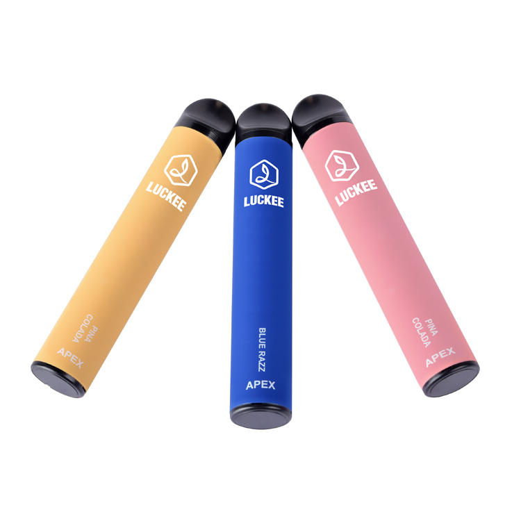 OEM/ODM 1500 Puffs Fruit Disposable smoke pipe e cigarette 5% Salt Nic Vape