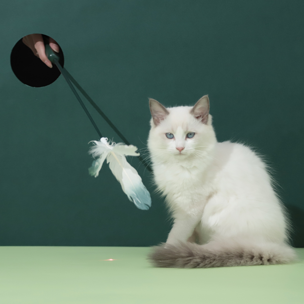 Factory Goods In Stock Hoopet Interactive Cat Laser Teaser Toy Combo